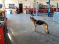 IMG 0089